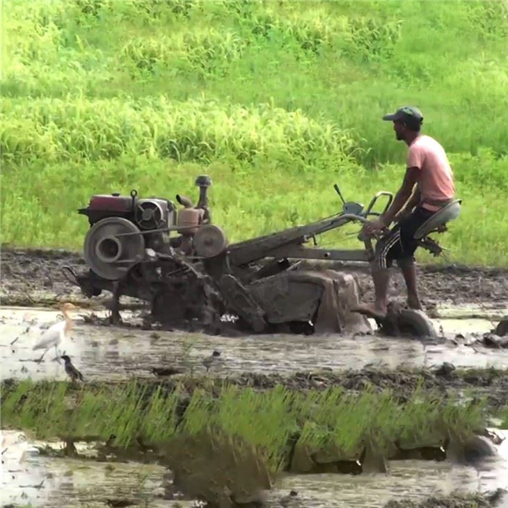 15hp 20hp डीजल इंजन वॉकिंग ट्रैक्टर टिलर वॉकिंग ट्रैक्टर टू व्हील टू इंडिया के साथ